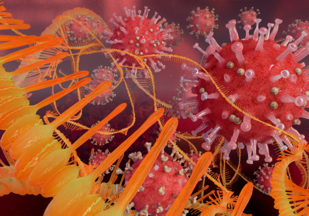 L&rsquo;imprimante de patchs &agrave; micro-aiguilles permet la fabrication de vaccins &agrave; la demande